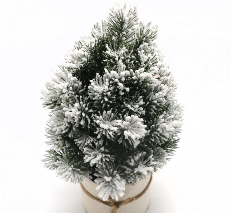 White Christmas Tree Bonsai