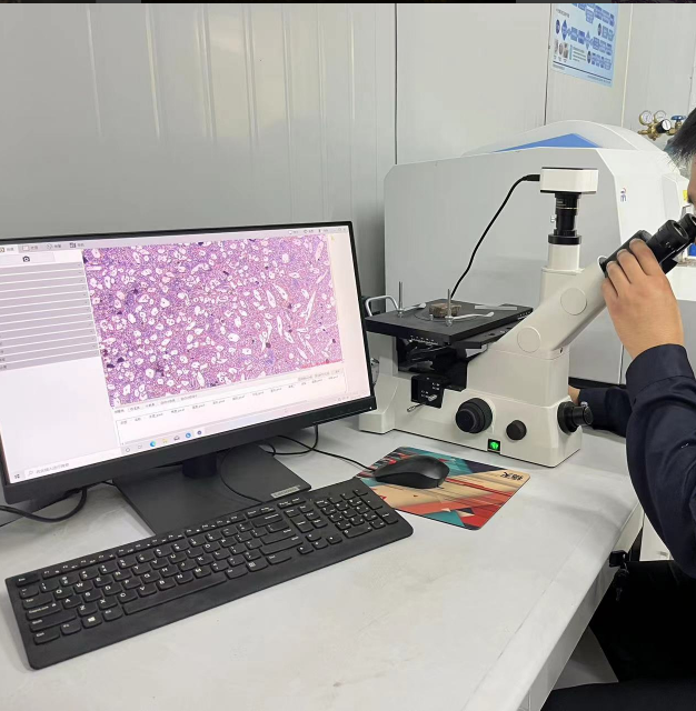 تقنية التكامل الكامل لسلسلة الصناعة: شاندونغ شين يوان بوتونغ - مراقبة الجودة الشاملة من المواد الخام إلى المنتجات النهائية