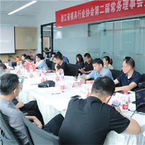 The sixth plenary meeting of the second Standing Council of Zhejiang Mold Industry Association was successfully held in Hangzhou