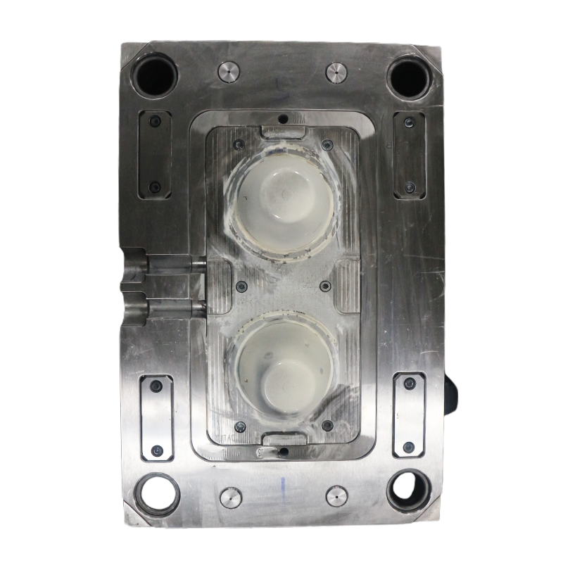 Home Appliances Precision Plastic Injection Mold