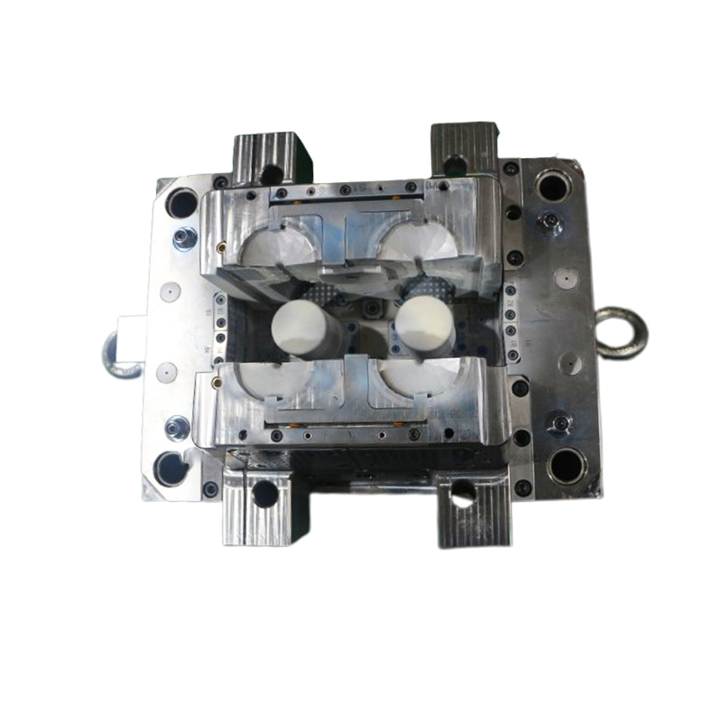 Home Appliances Prototype Rapid Injection Mold
