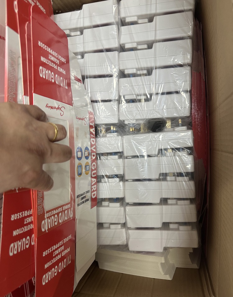 Computer voltage protector