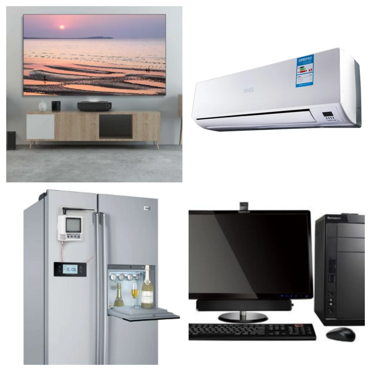 AVS-30A Protector AVS-30A Protector