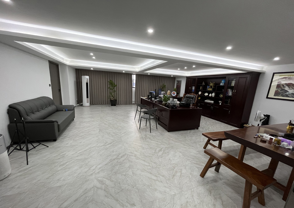 AVS-30A Protector AVS-30A Protector