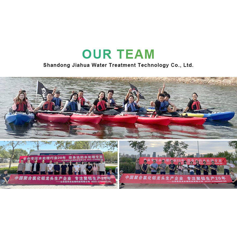 Our Team