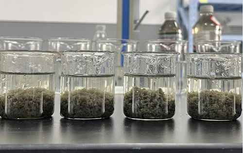 How To Choose The Right Polyacrylamide Type?