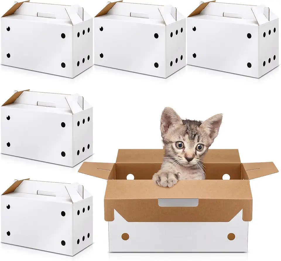 Create the Perfect Paradise for Your Cat: Eco-Friendly and Durable Cardboard Pet Houses