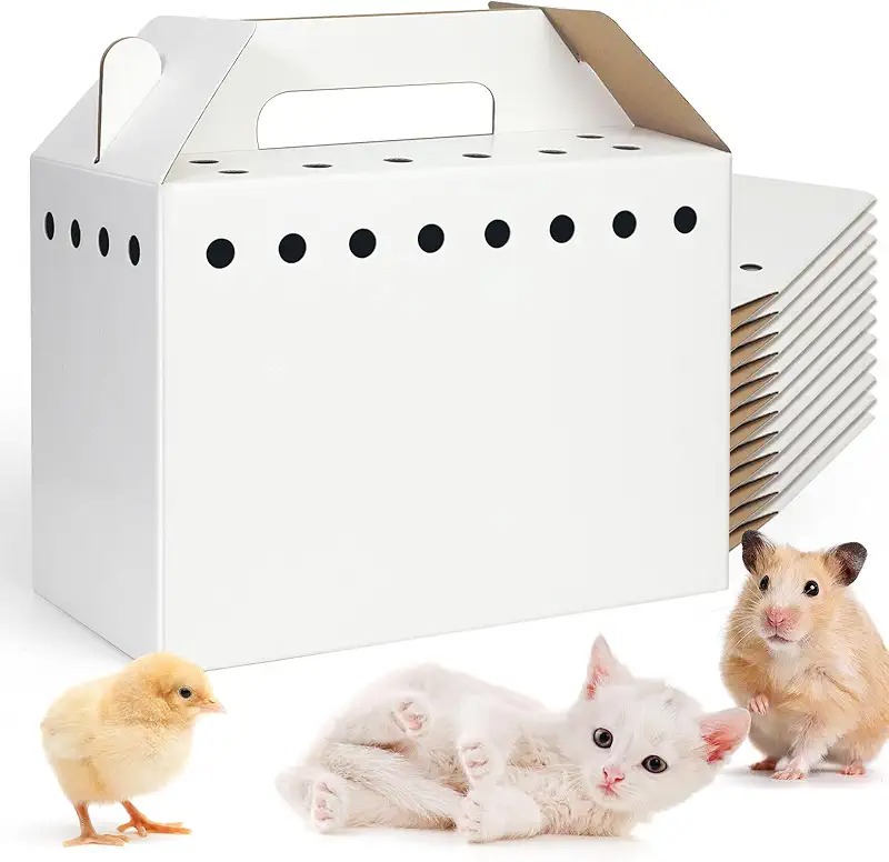 Eco-friendly cat house Eco-friendly cat house