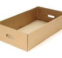 Grease-Resistant Cardboard Tray