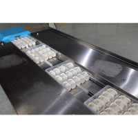 Mașină de ambalat rapid alimente congelate