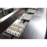 Mașină de ambalat rapid alimente congelate