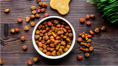 Principais fatores na embalagem de alimentos para animais de estimação e na escolha da máquina de embalagem correta