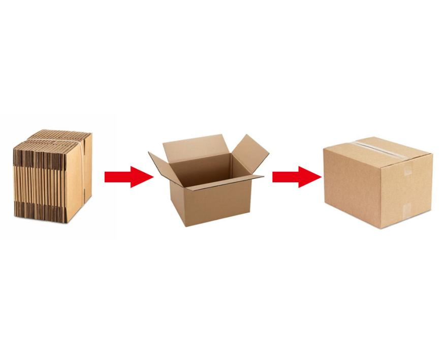 Robotic Carton Erector