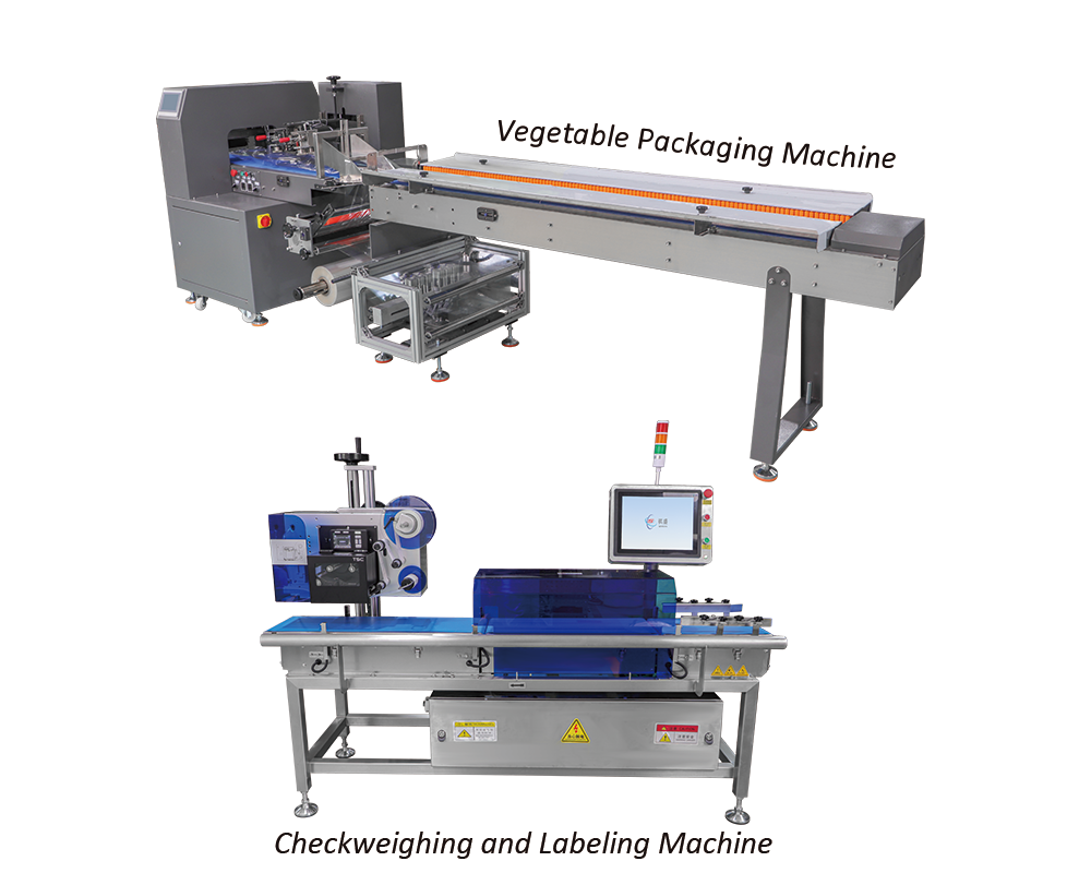Horizontal Flow Packaging Machine