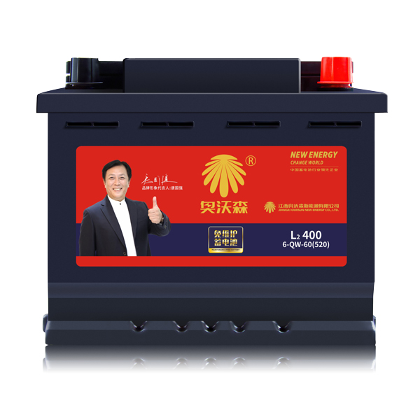 AGM Valve Regulated Lead Acid VRLA Batteries