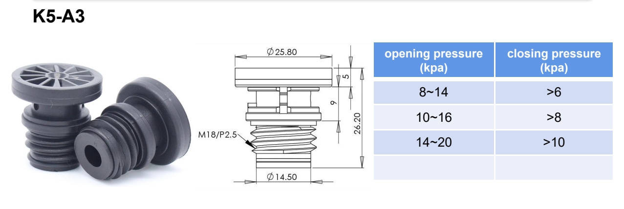 AGM battery safety valve