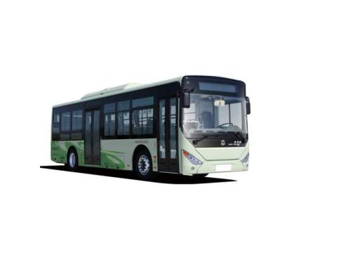 Shandong Jiulong Supply Chain Management Co., Ltd.