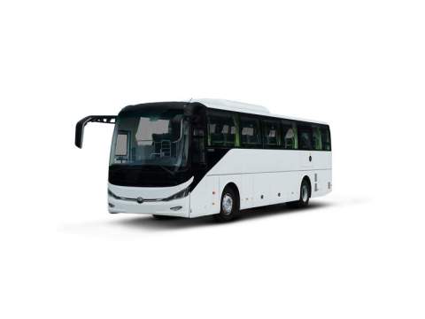 Shandong Jiulong Supply Chain Management Co., Ltd.