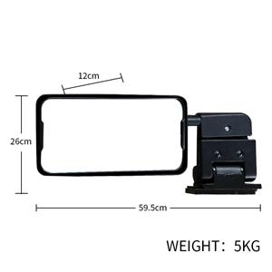 Bus reversing mirror assembly left 8202-04271