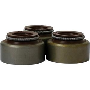 Valve Seal Oil Seal