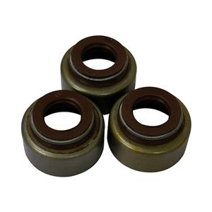 Valve Seal Oil Seal