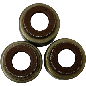 Valve Seal Oil Seal