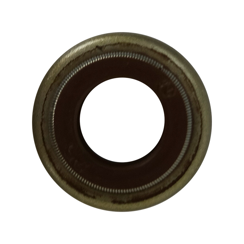 Valve Seal Oil Seal