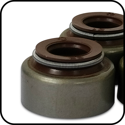 Oil Valve Seal