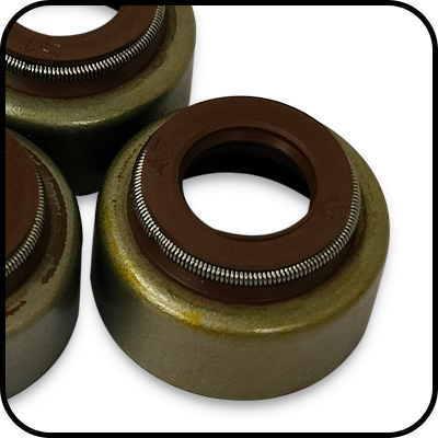 Valve Oil Seal