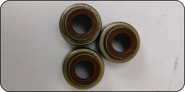 Valve Oil Seals