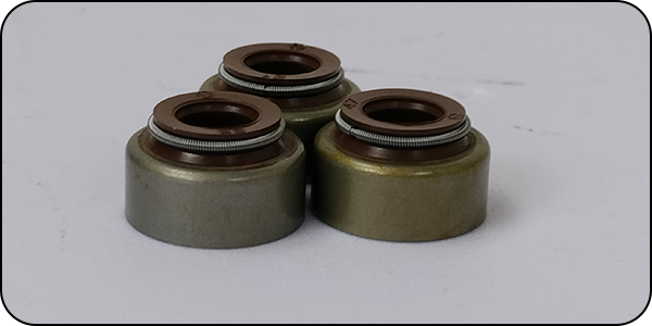 Oil Valve Seal