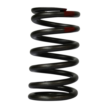 Valve outer spring
