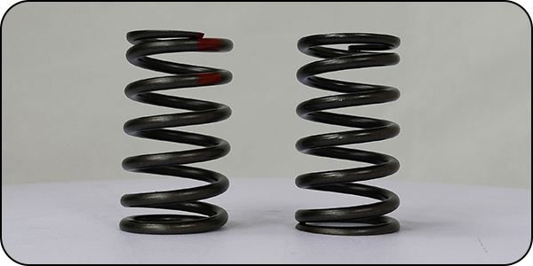 Valve Spring Outer