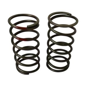 Coil springs in valves