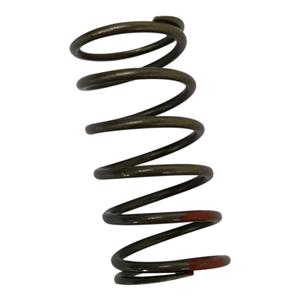 Coil springs in valves