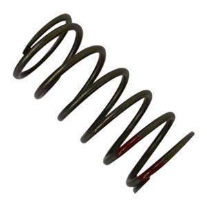 Coil springs in valves