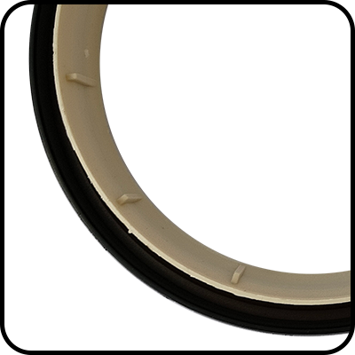 Rear Engine Oil Seal