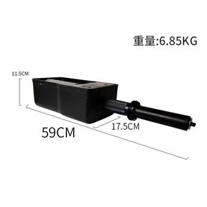 Pneumatic Door Swivelling Mechanism