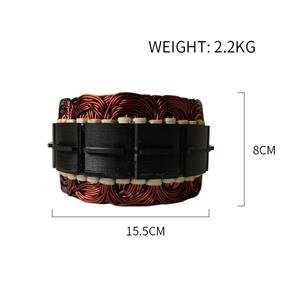 Stator Assembly AVI168S-3000-P