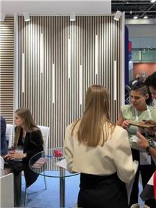 wpc wall panel with Led light