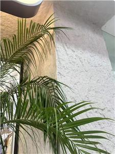 Quels sont les avantages particuliers de l'utilisation de la porcelaine tendre pour la décoration des murs extérieurs