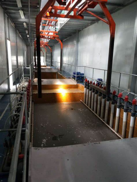 Electrophoretic processing Electrophoretic processing