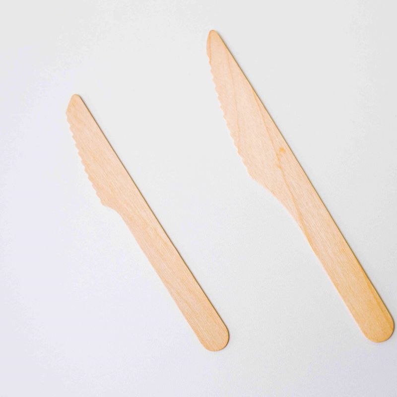 Natural Birch Eco Friendly Disposable Knives