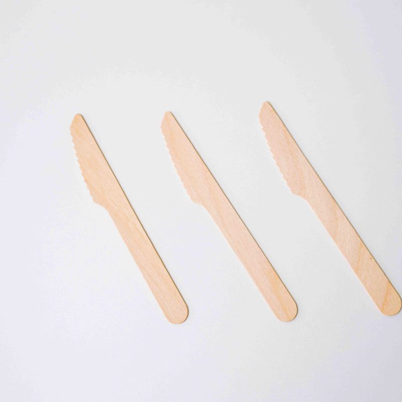 Natural Birch Eco Friendly Disposable Knives