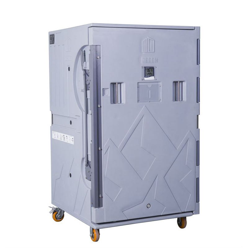 Roll Insulated Container For Frozen Food Transportation