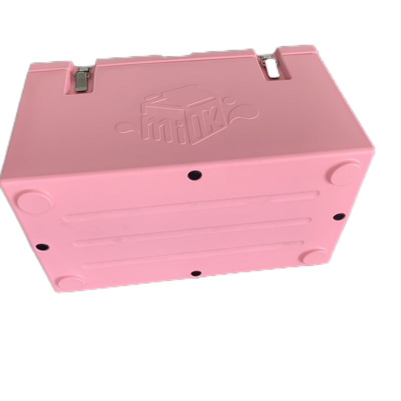 Cold Chain Transport Container For Cold Food