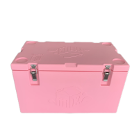 Cold Chain Transport Container For Cold Food