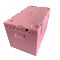 Cold Chain Transport Container For Cold Food