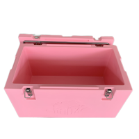 Cold Chain Transport Container For Cold Food