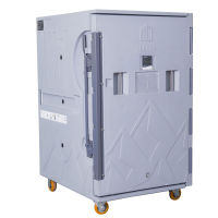 Dondurulmuş Gıda Taşımacılığı İçin Termokonteyner